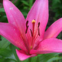 Camraw_013