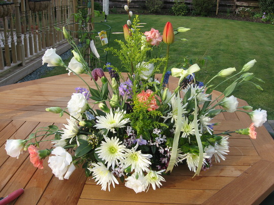 A garden flower photo