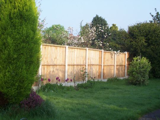 100_3040.jpg