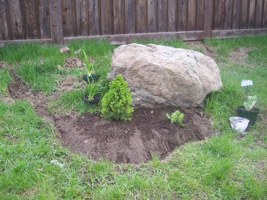 New bed in progress.