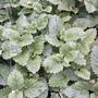 2008-05-07_023