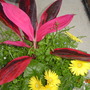 Dsc00047