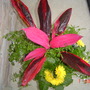 Dsc00046