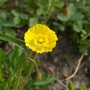 Sg1l2368