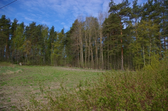 West May 2008 (Spring)