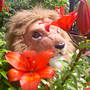 Garden_pics_2007_059