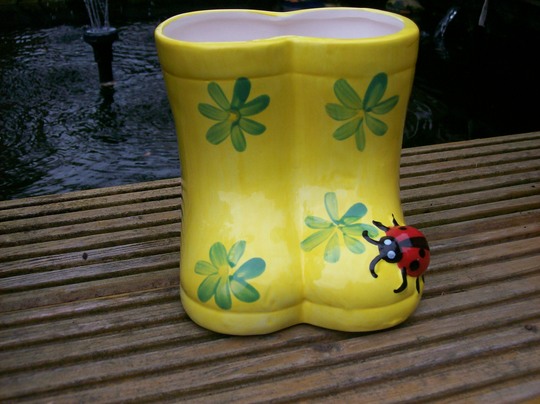 planter wellies