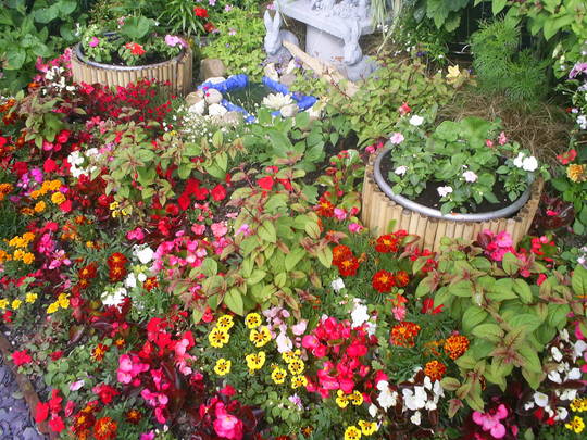 flower bed front garden