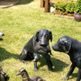 2008_shows_003
