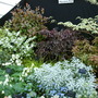 2008_shows_023