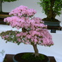 2008_shows_024