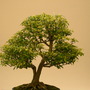 2008_shows_026