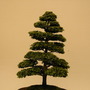 2008_shows_027