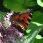 Dscn1631-2
