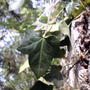 2008-05-10_007