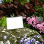 2008_shows_055