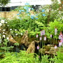 2008_shows_069