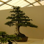2008_shows_071