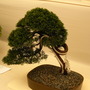 2008_shows_072