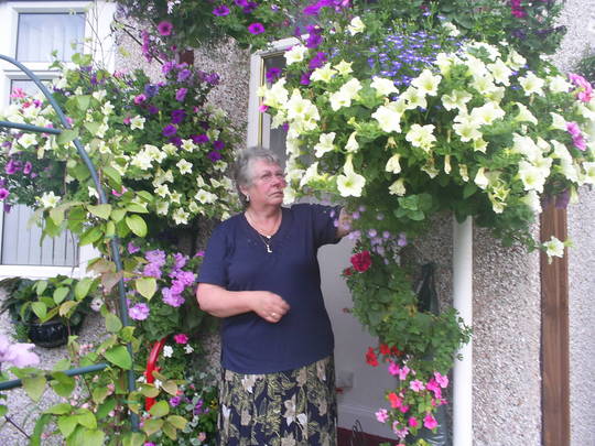 lucy dead heading her baskets