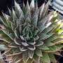 Dscf0426