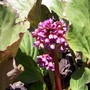 100_0794__576_x_432_