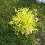 100_8301