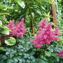 Garden_2007_015