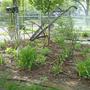 Pictures_8