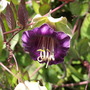 20080511_42