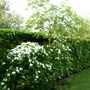 Dscn1694