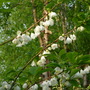 Dscn1703