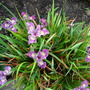 Dscn1702