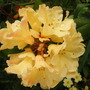 Picture_1426