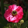 20080410_71