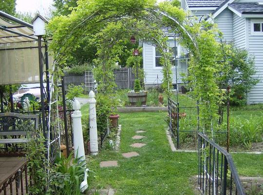 Back Garden - May 2008