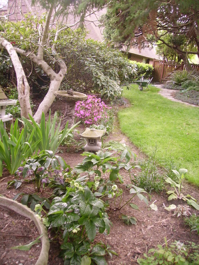 Southern edge of my back garden
