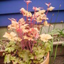 Pict0083
