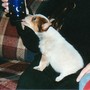Baby_rexi