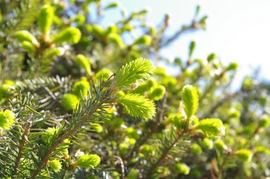 New May growth