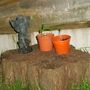 The_garden_003