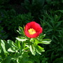 Dscn1709