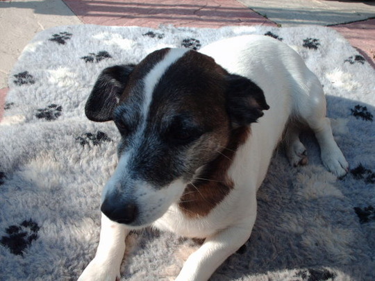 this is ben 