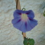 My_documents_my_pictures_118