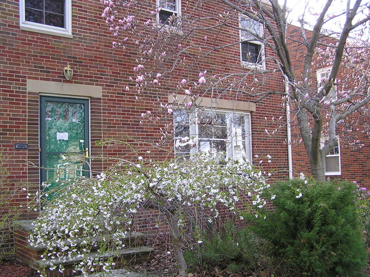 Front of house