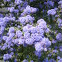 13_mayo8_008