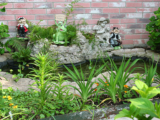 May08_Water garden