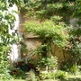 P1010050