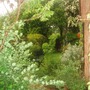 Garden_008