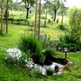Copy_of_pict1323